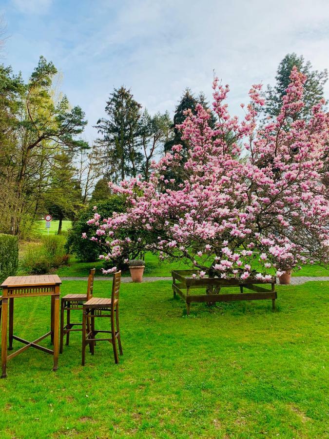 Landhotel Waldhaus Laubach  Luaran gambar
